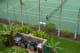 Maui Vista, Maui Condo and Home Activities