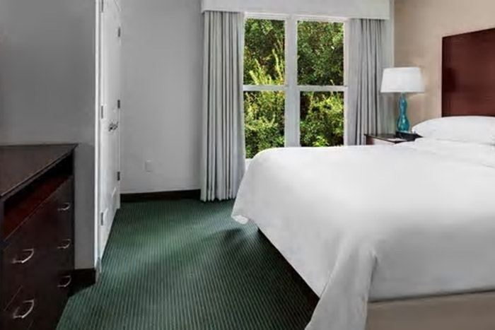 Embassy Suites by Hilton Orlando - Lake Buena Vista Resort