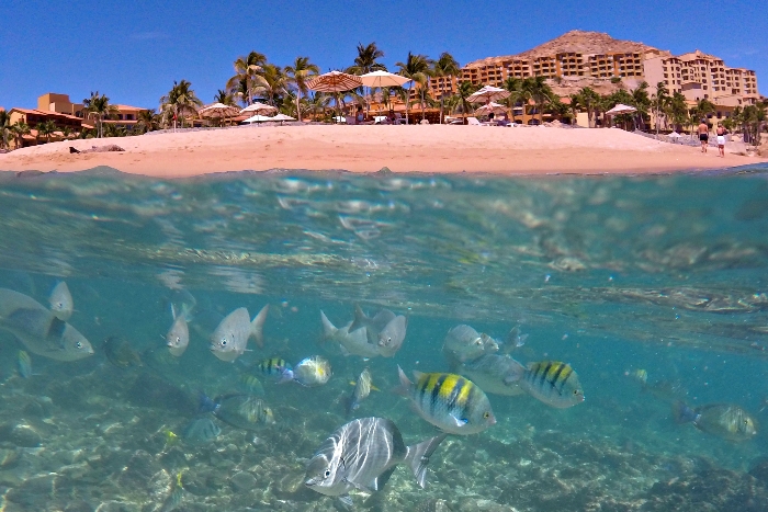 Grand Fiesta Americana Los Cabos All Inclusive Golf & Spa