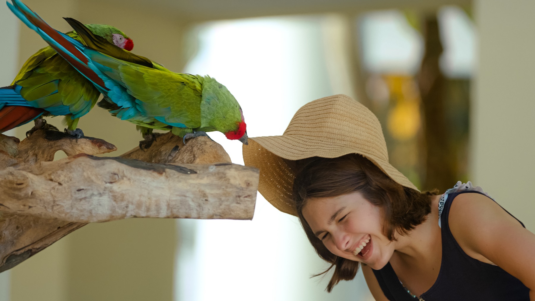Occidental at Xcaret Destination