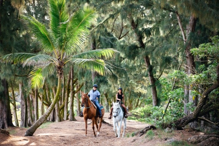 The Ritz-Carlton Oahu, Turtle Bay