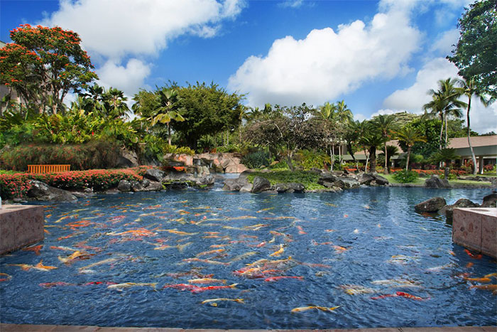 Marriott's Kaua'i Beach Club