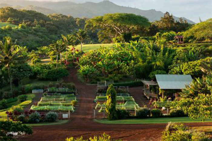 The Lodge At Kukui'ula