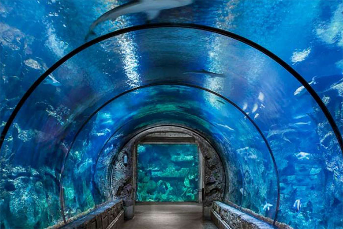 Mandalay Bay Resort and Casino, Las Vegas