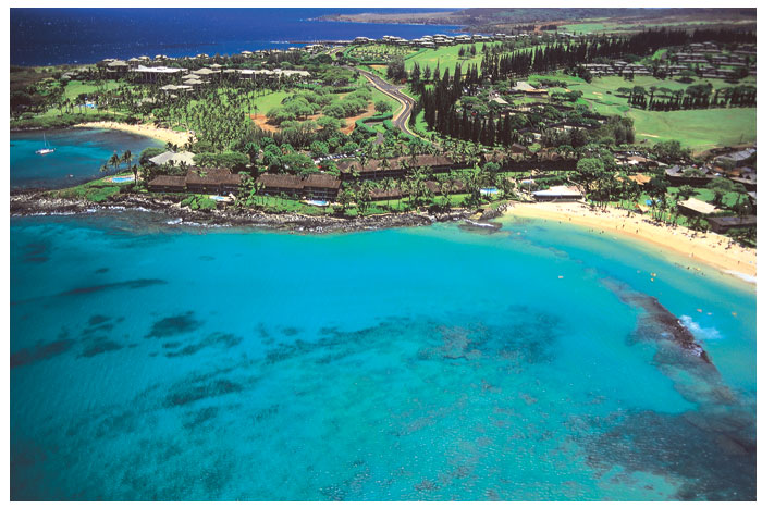 Napili Kai Beach Resort