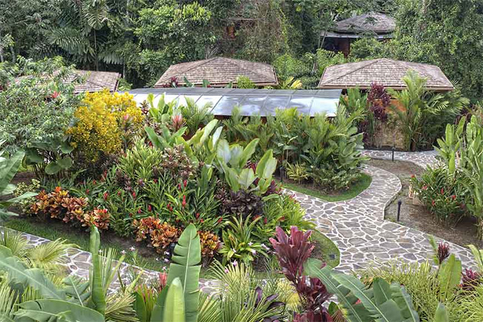 Nayara Springs