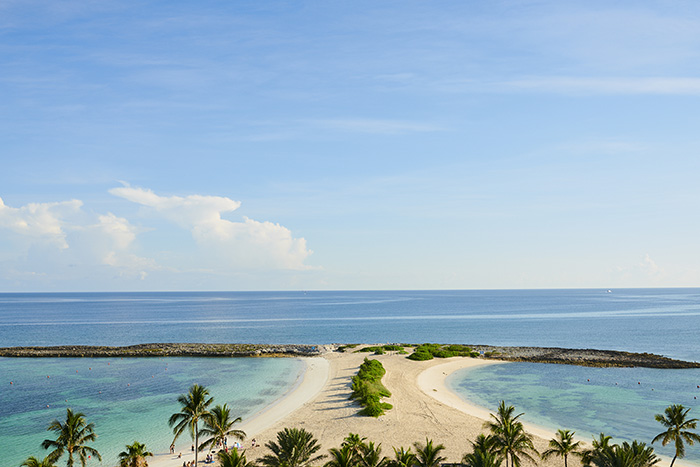 The Cove Atlantis