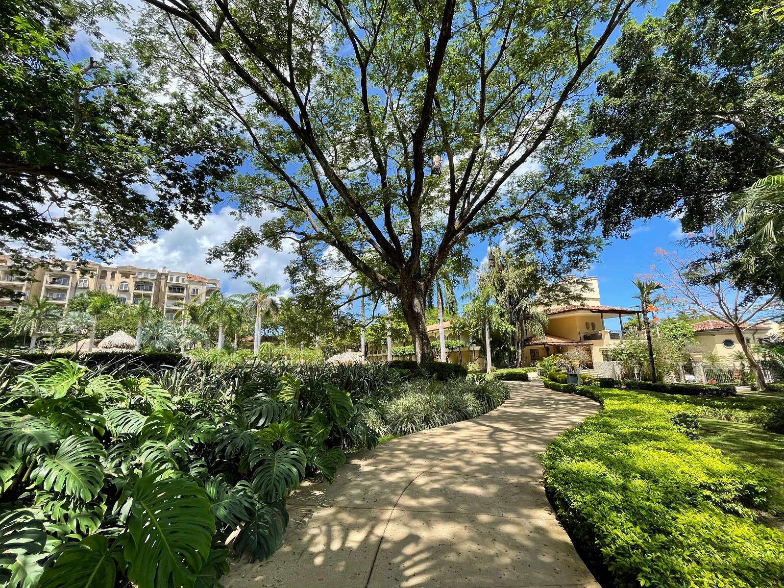 Tamarindo Diria Beach Resort