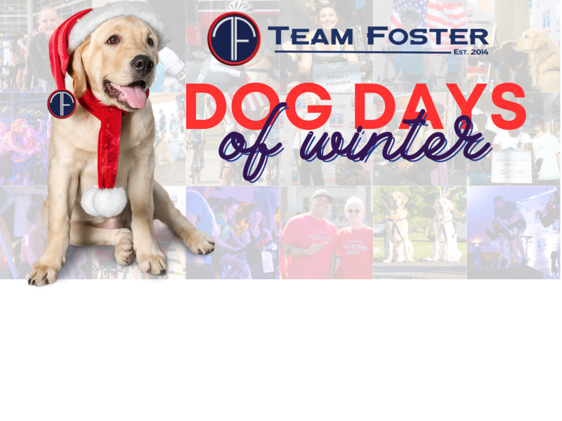 The dog days of winter sales