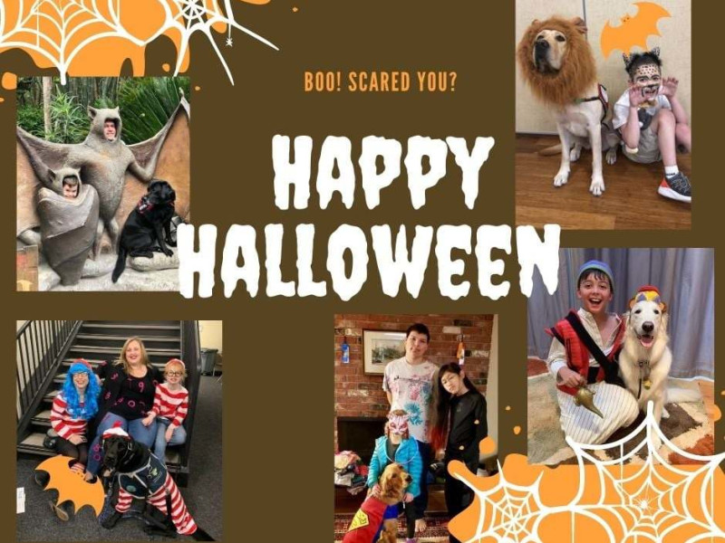 Support Virtual Halloween Dog Costume Fundraiser CFK PledgeIt for