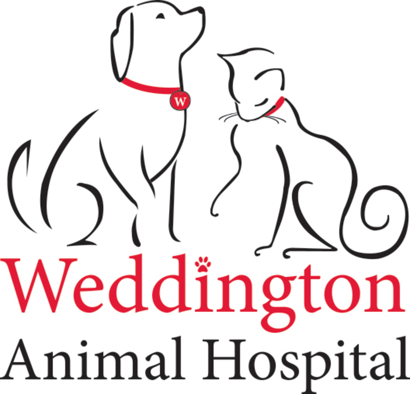 Weddington Animal Hospital