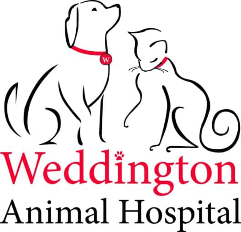 Weddington Animal Hospital