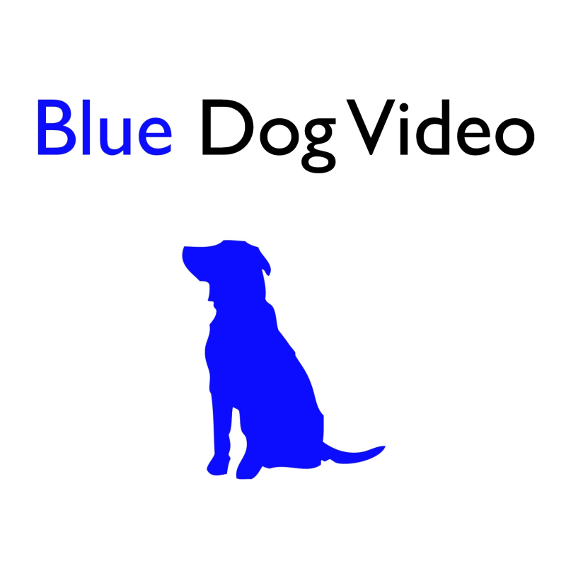 Blue Dog Video