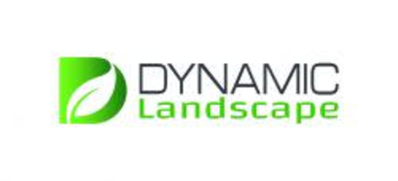 Dynamic Landscape