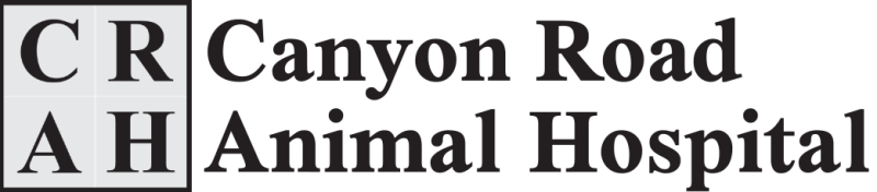 Canyon Road Animal Hospital