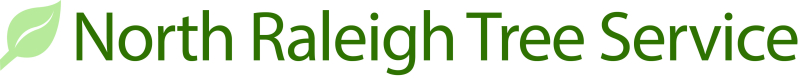 North Raleigh Tree Service