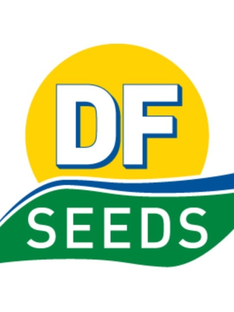 DF Seeds