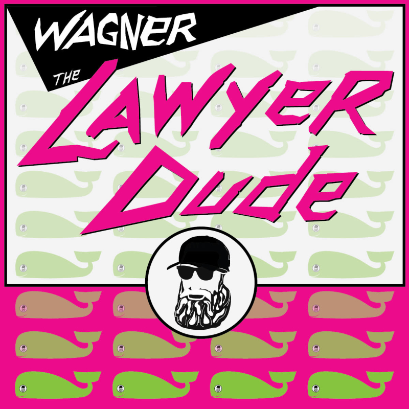 Lawyer Dude
