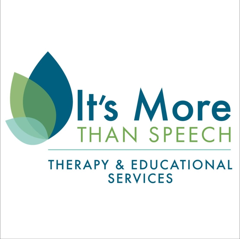 It's More Than Speech, LLC