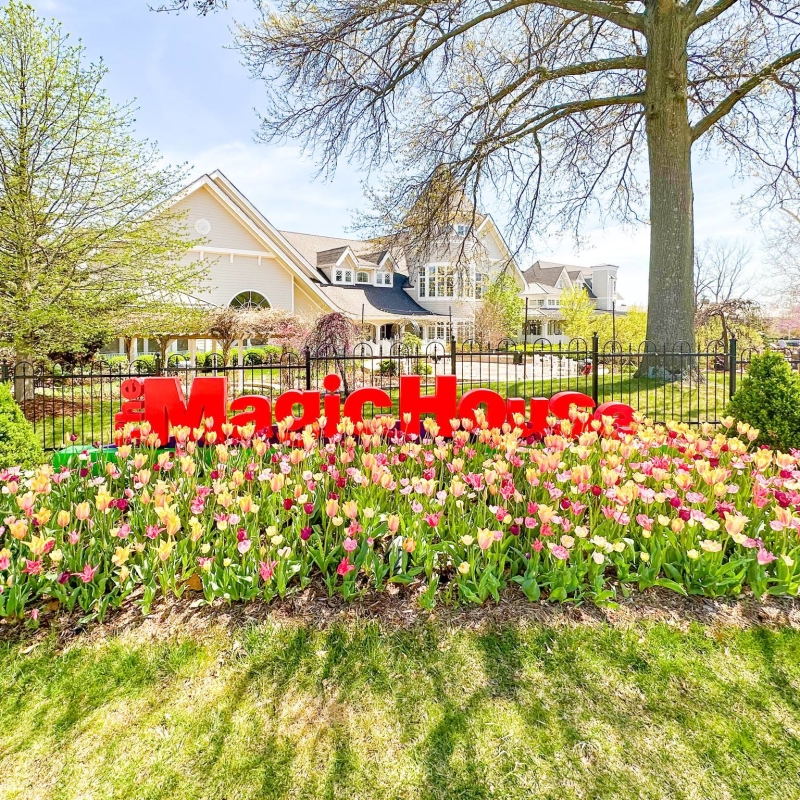 Magic House