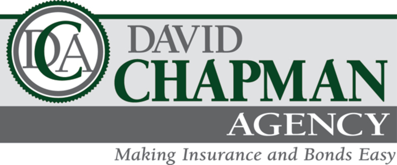 David Chapman Agency   