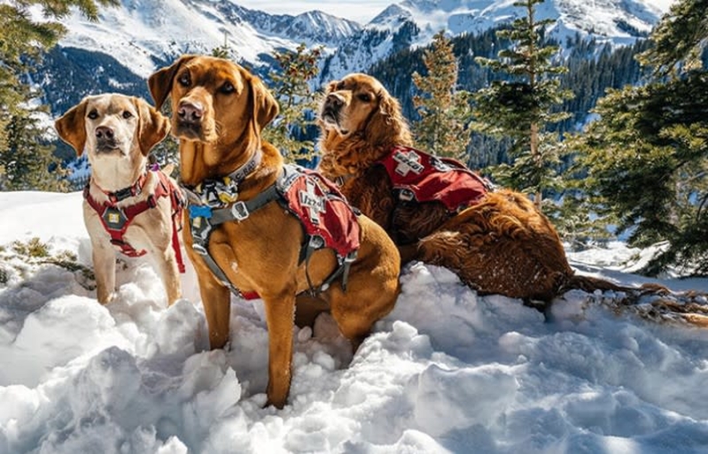 Taos Ski Patrol