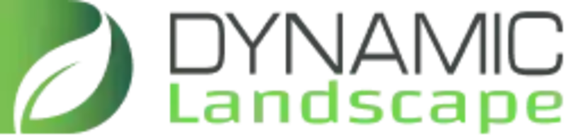 Dynamic Landscape 
