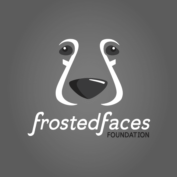 Frosted Faces Foundation