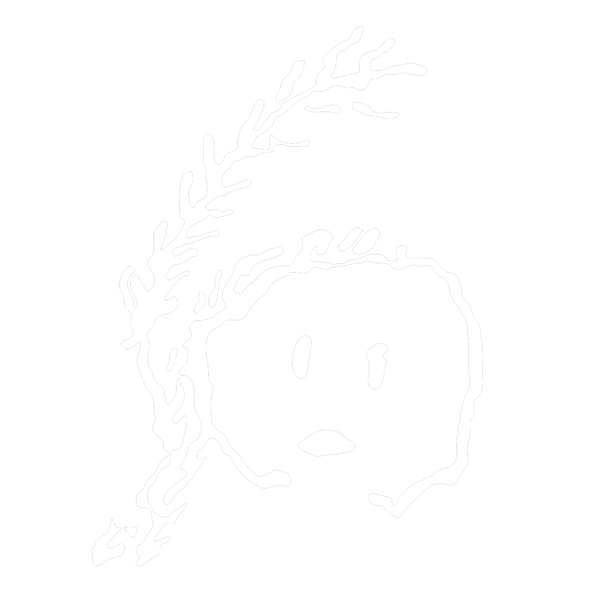 24 Hour Run for Wabanaki Landback