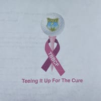 New York Yankees Women's Health Awareness Weekend benefiting TBBCF - TBBCF  Terri Brodeur Breast Cancer Foundation