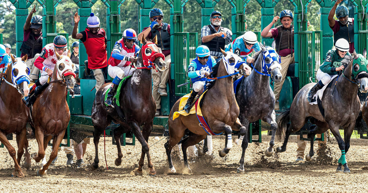 Support DSACO Derby Day | PledgeIt for Charities