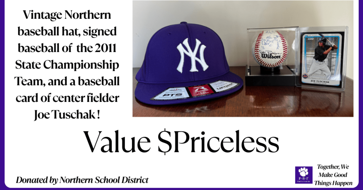 #92 Northern Baseball Nostalgia - A Roaring Celebration! | PledgeIt for ...
