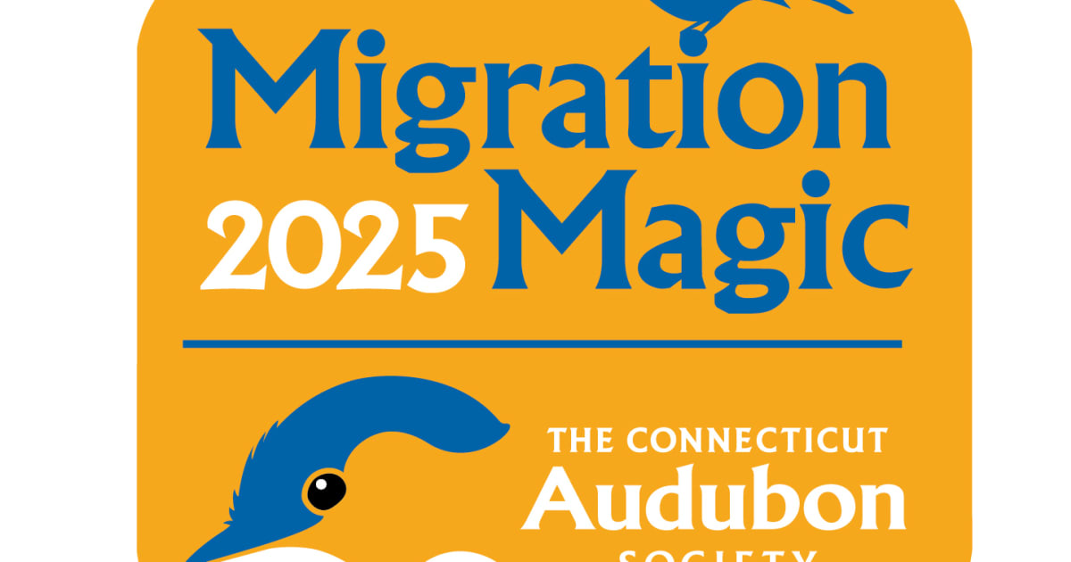 Support 2025 Migration Magic Birdathon | PledgeIt for Charities
