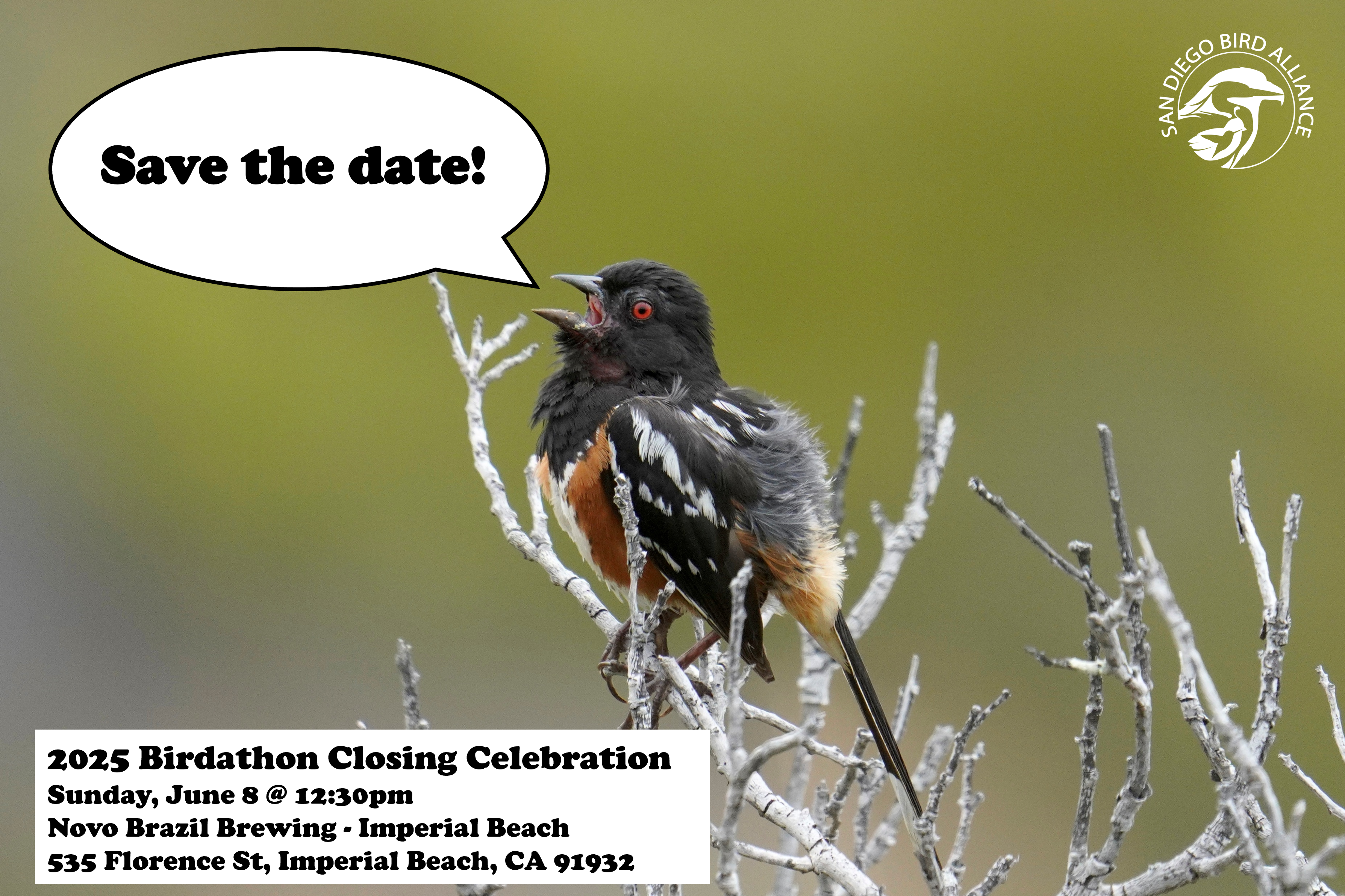 2025 Birdathon Closing Celebration Save the Date.png