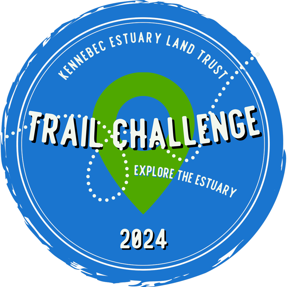 trail challenge logo.png