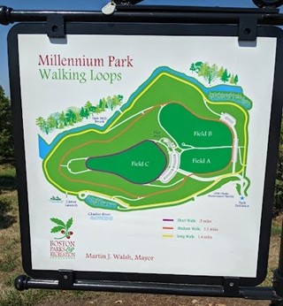 Millennium Park.jpg