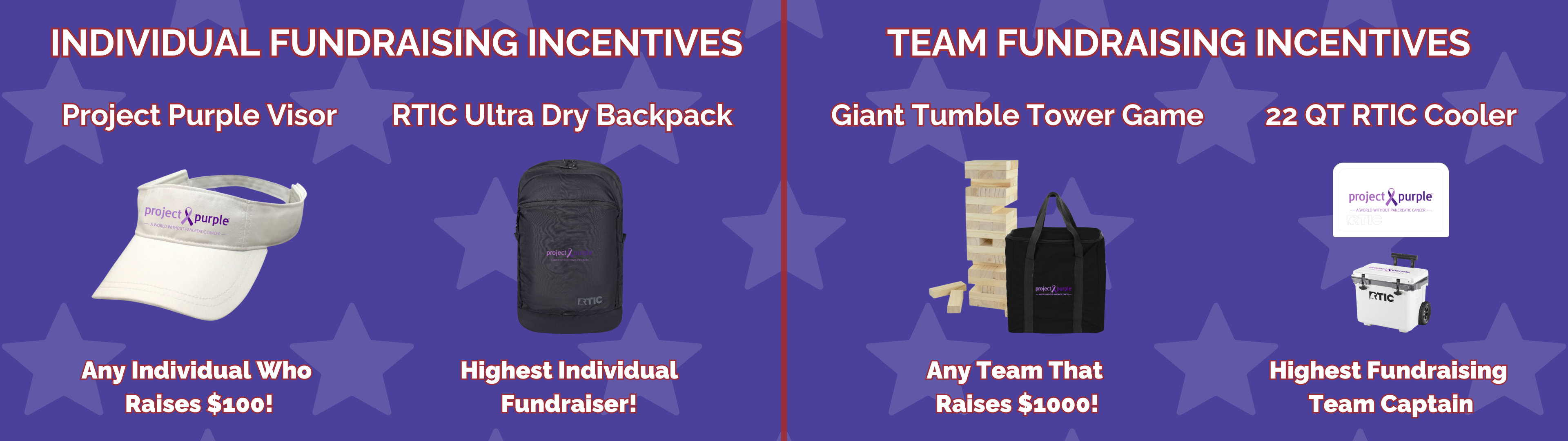 IDD Fundraising Incentives Banner 26 (1).png