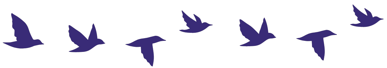 birds in flight border in purple.png