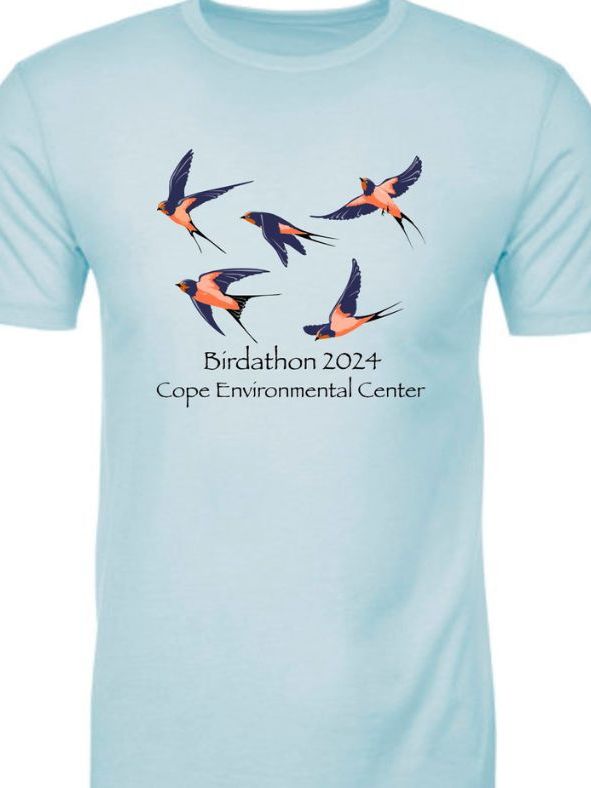 Birdathon shirt.jpg