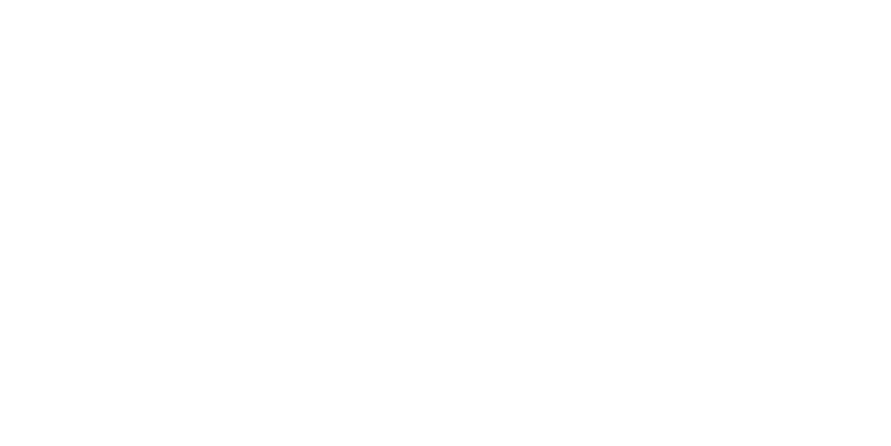 AE_Logo_White.png