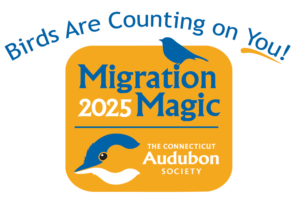 MM-LOGO2025-CMYK -Tagline.jpg