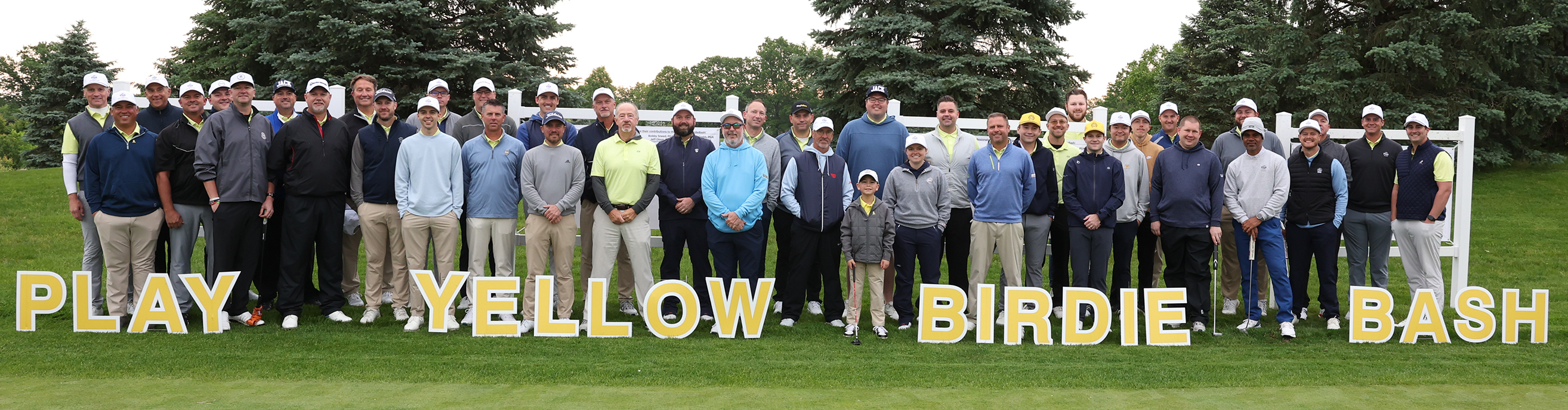 BB for Pledge It.jpg