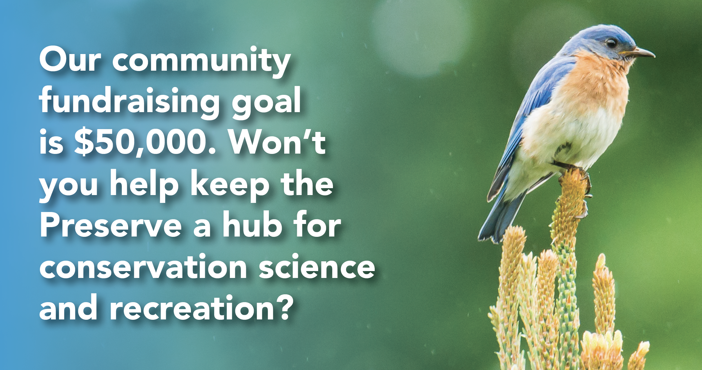 Bluebird with Fundraising Goal by Carl Mueller.png