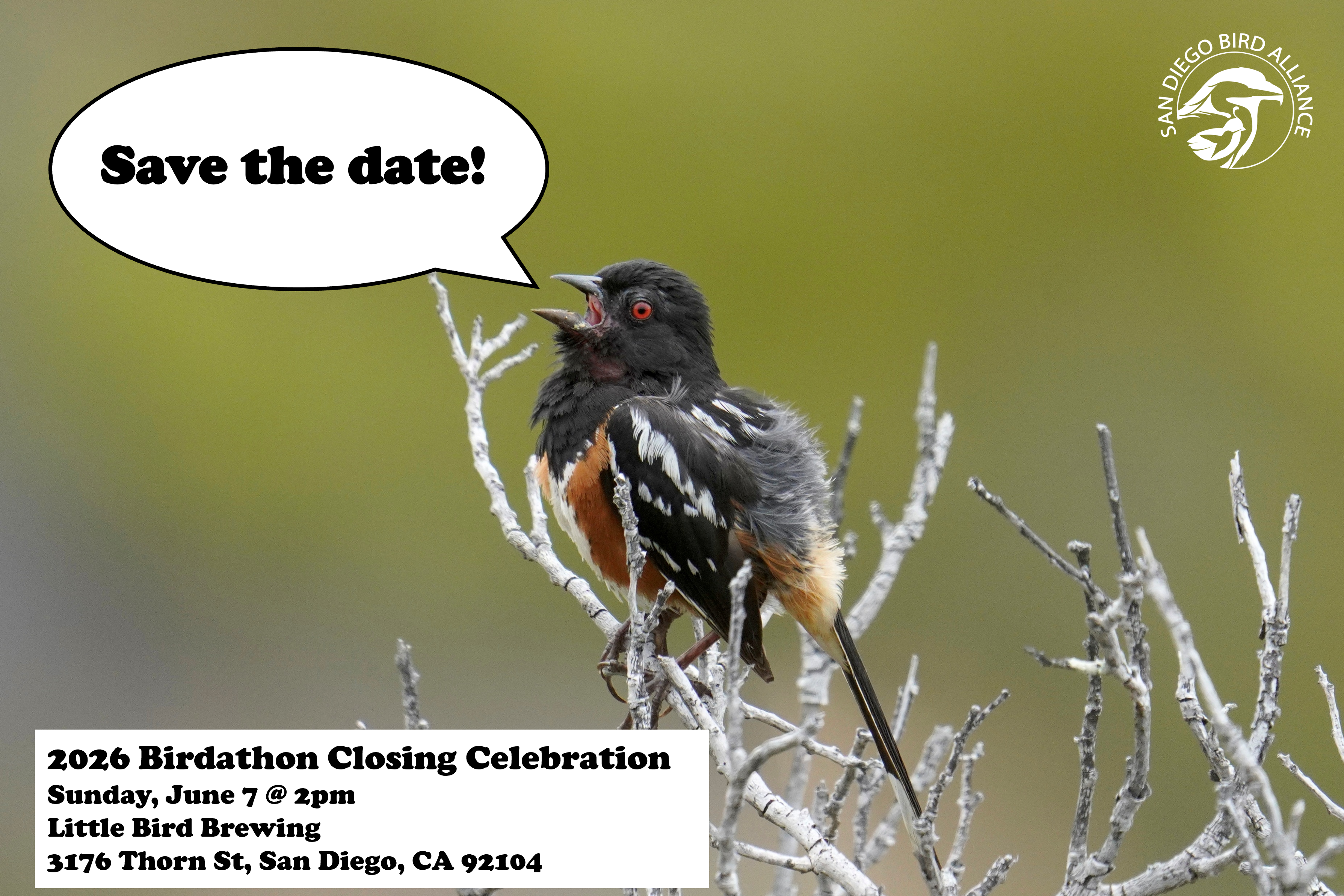 Save the Date Birdathon 2026 Closing Celebration.png