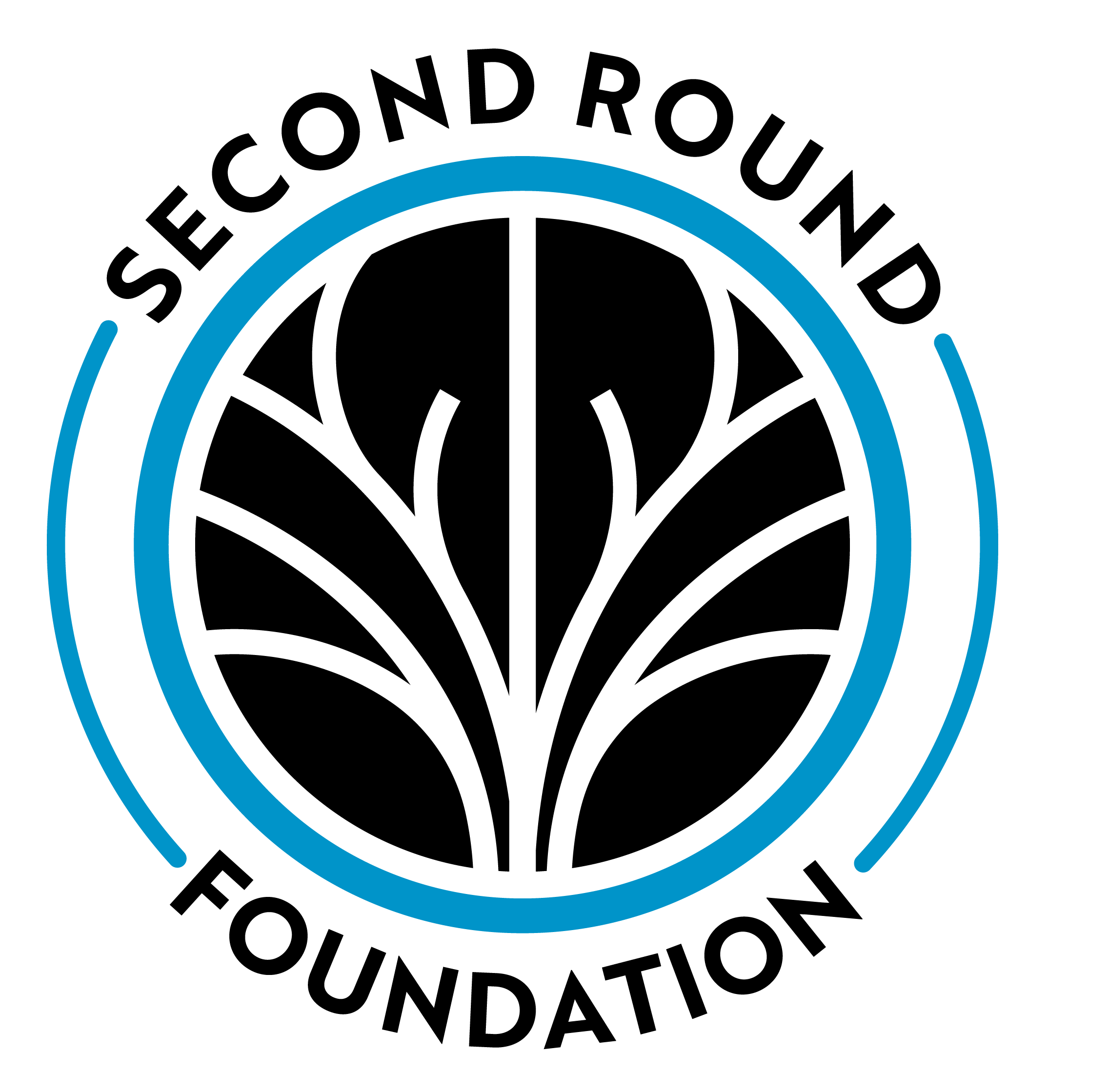SRF_LOGO.png