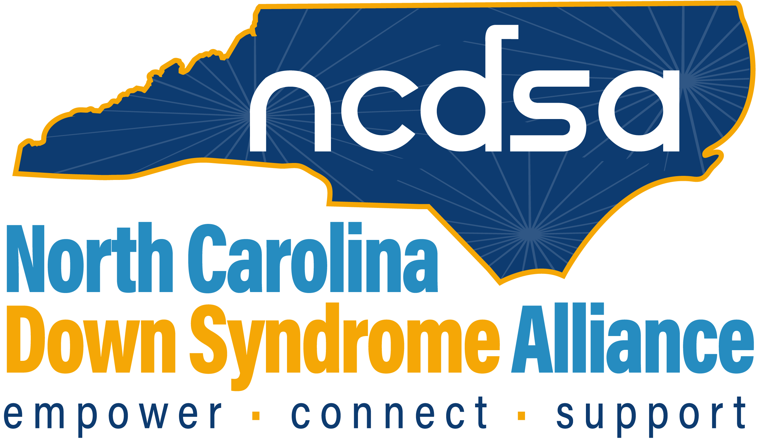 NCDSA-LOGO.png