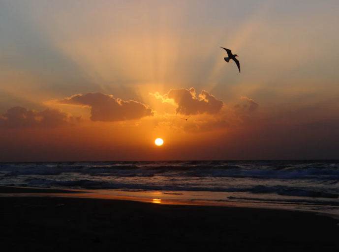 GazaSunset.png