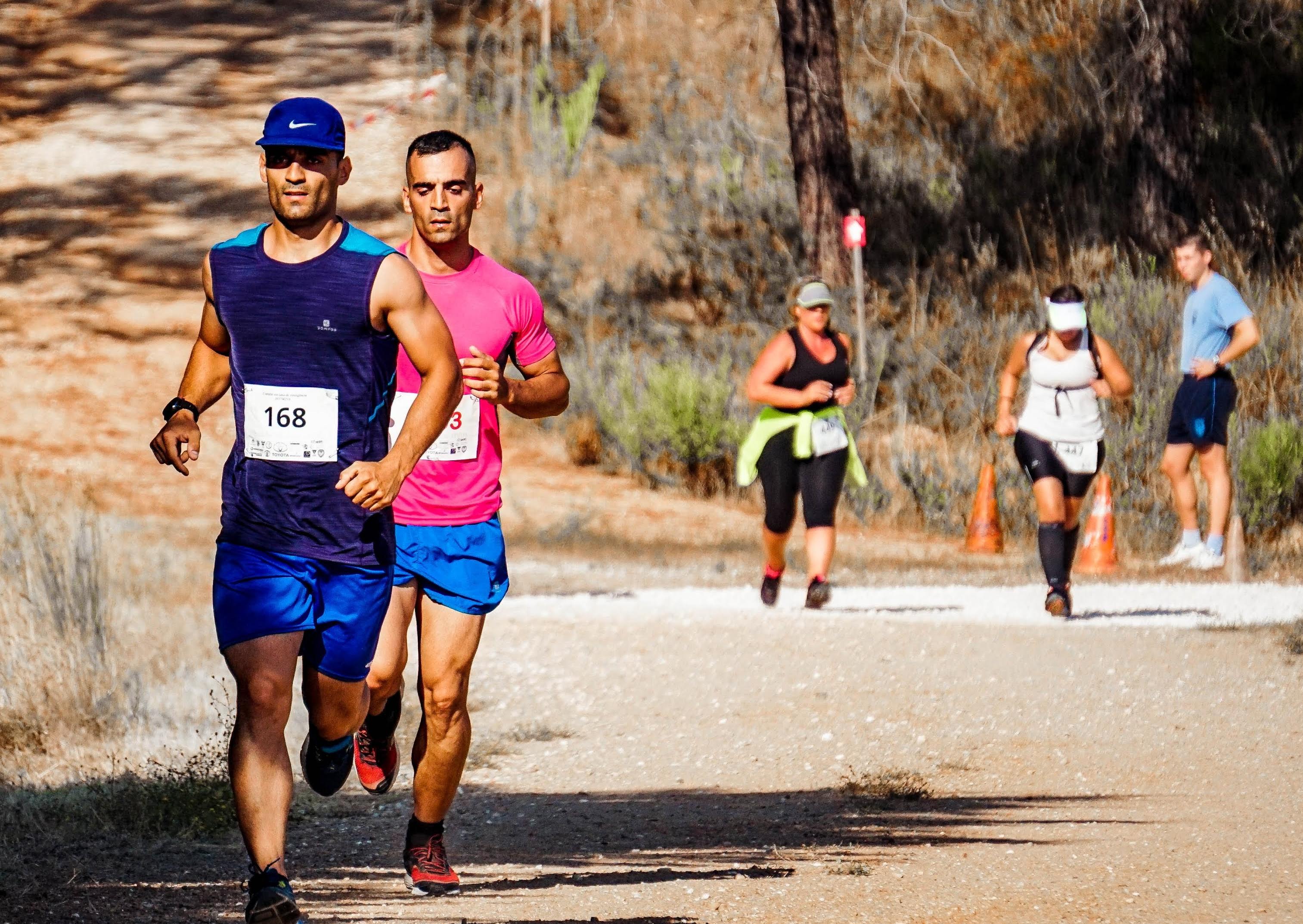 pexels-run-ffwpu-1571938.jpg