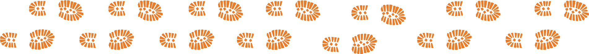 footprints.png