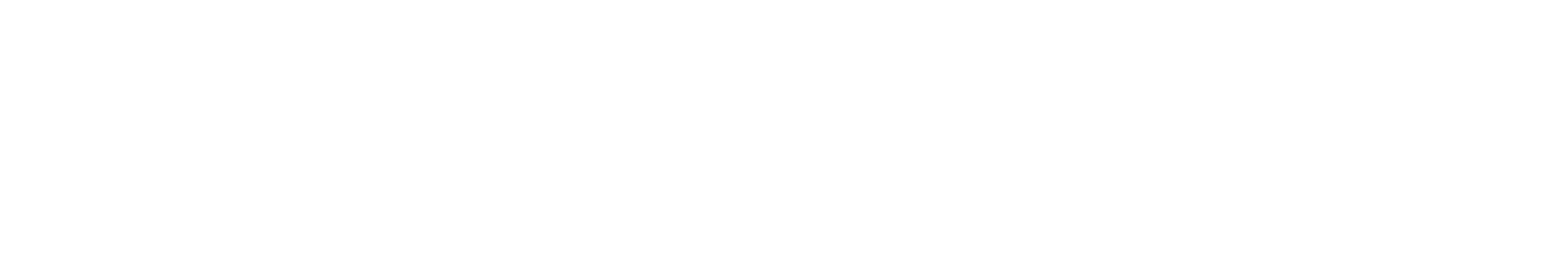 Conceive_Logo_Horizontal_White.png